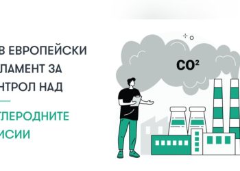 Десислава Банчева, Юнимастърс: Ролята на митническите представители става все по-значима