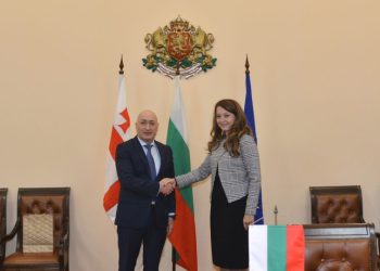 Трябва да се търси ръст на товарооборота с Грузия, призовава зам.-министър