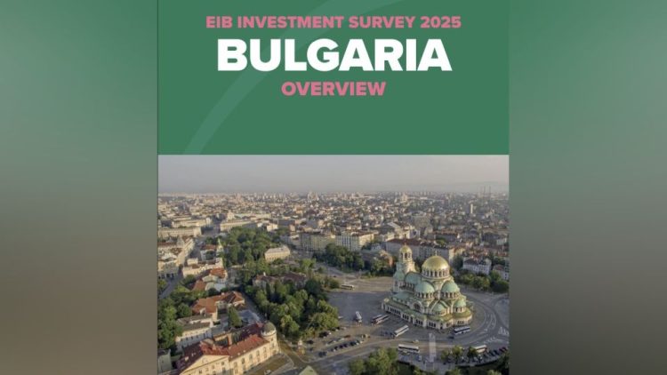 ЕИБ: Бизнесът в България все още изостава при внедряването на AI инструменти